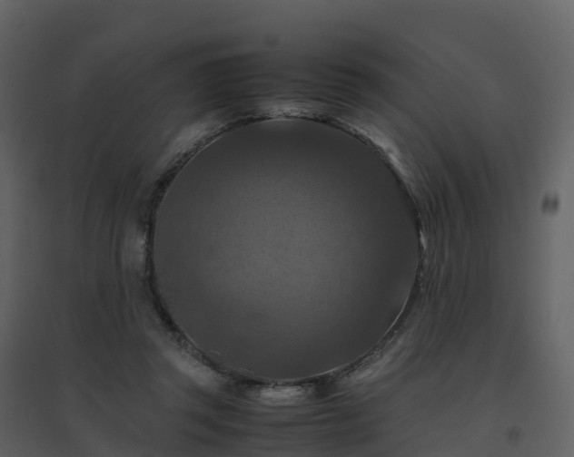 X0000096640357200802121115