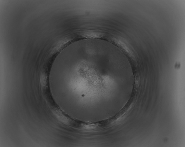 X0000096640359200802121115