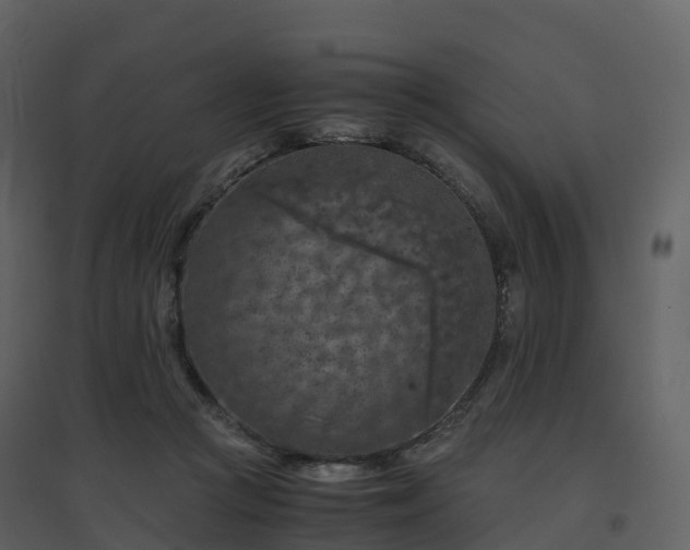 X0000096640361200802121115