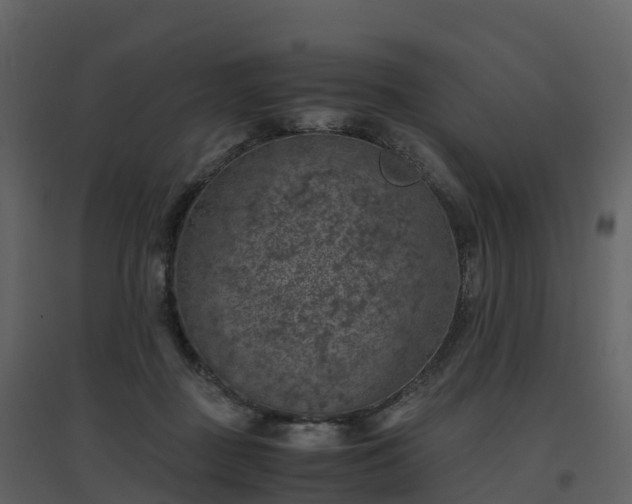 X0000096640363200802121115