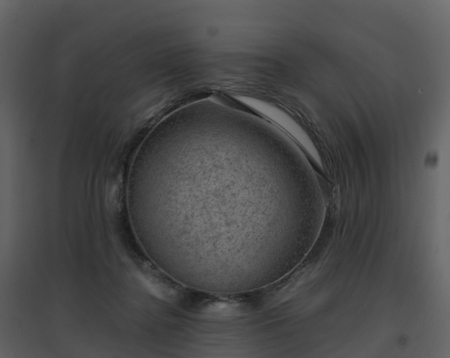 X0000096640364200802121115