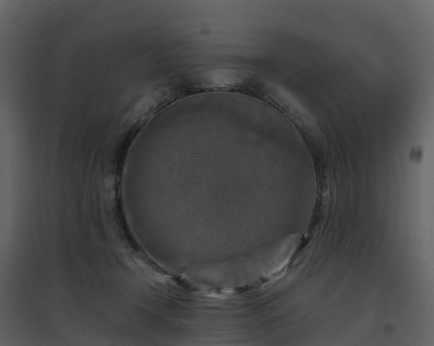 X0000096640366200802121115