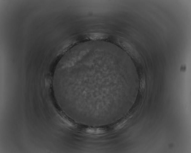 X0000096640367200802121115