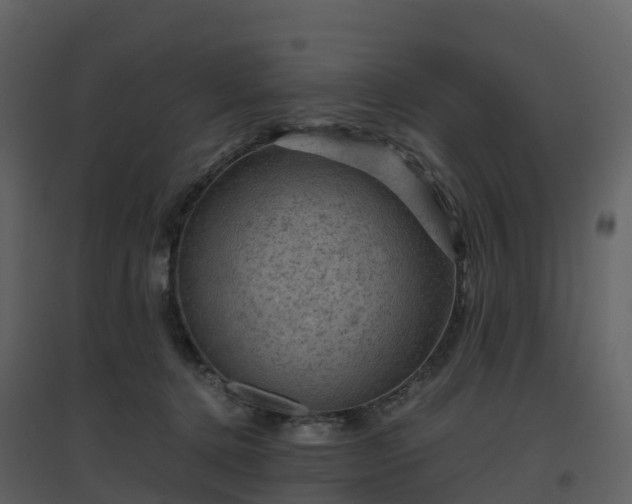X0000096640368200802121115