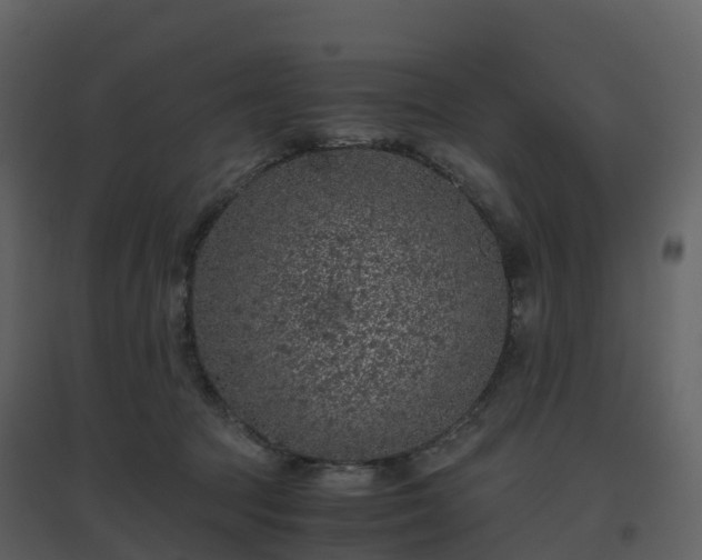 X0000096640369200802121115