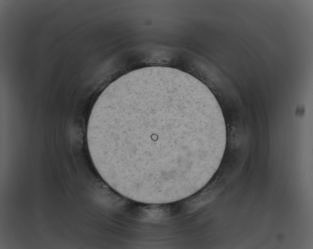 X0000096640370200802121115