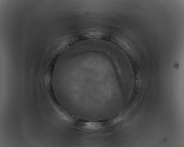 X0000096640371200802121115