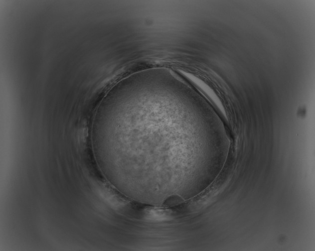X0000096640372200802121115