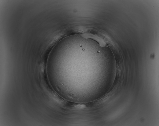 X0000096640374200802121116