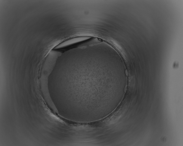 X0000096640385200802121115