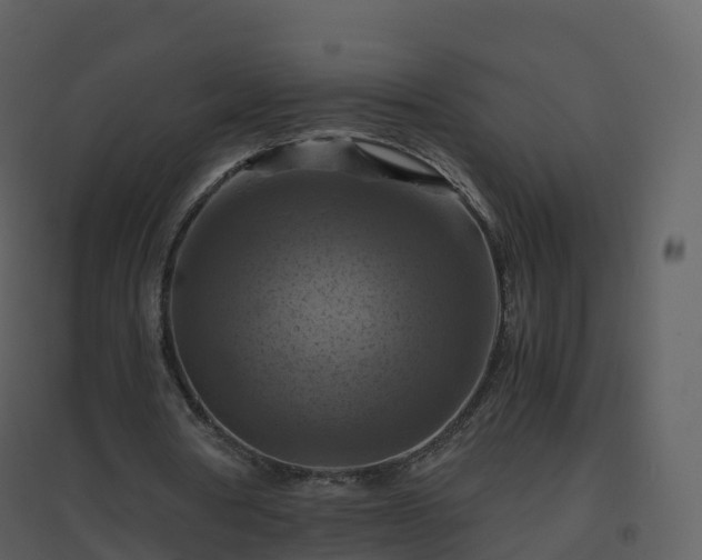 X0000096640386200802121115