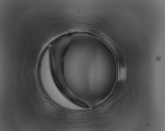 X0000096640387200802121115