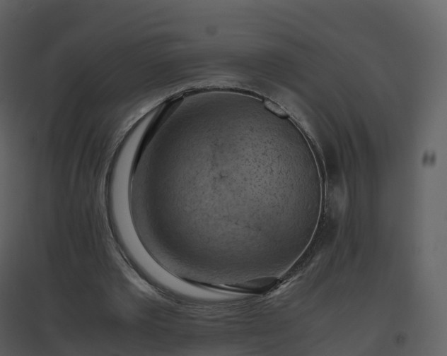 X0000096640389200802121115