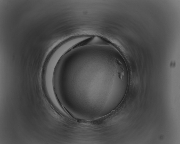 X0000096640391200802121115