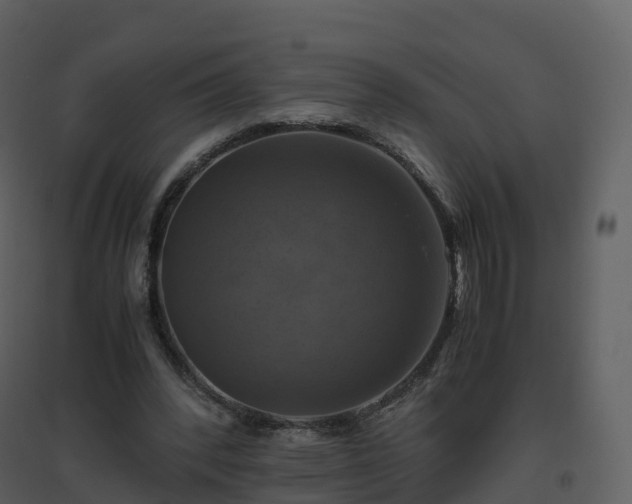 X0000096640392200802121115