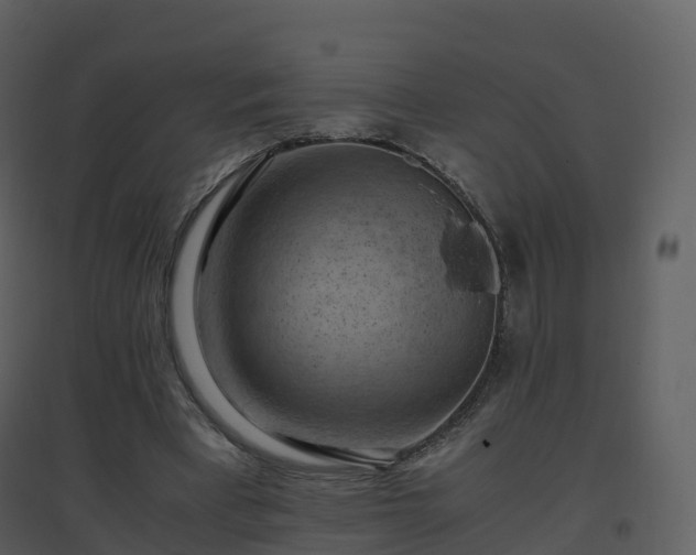 X0000096640393200802121115