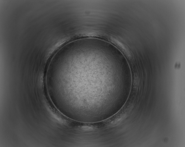 X0000096640394200802121115