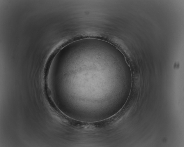 X0000096640395200802121115