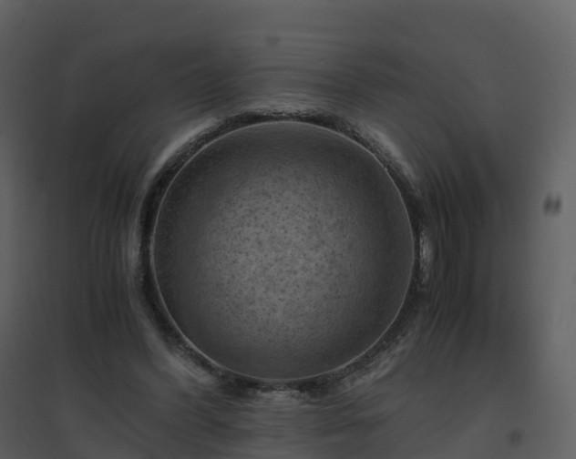 X0000096640396200802121115