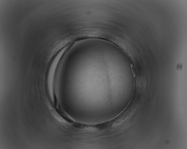 X0000096640397200802121115