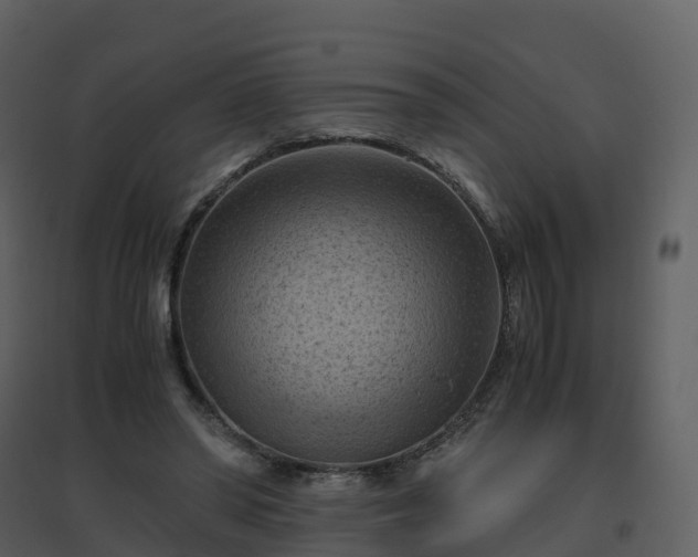 X0000096640398200802121115
