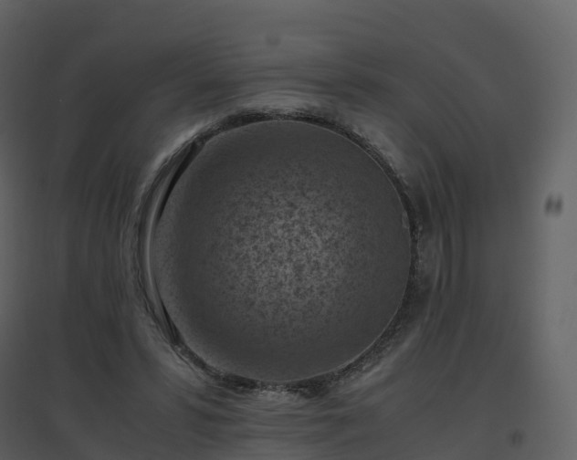X0000096640399200802121115