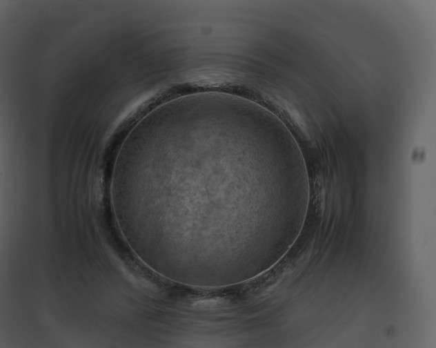 X0000096640400200802121115
