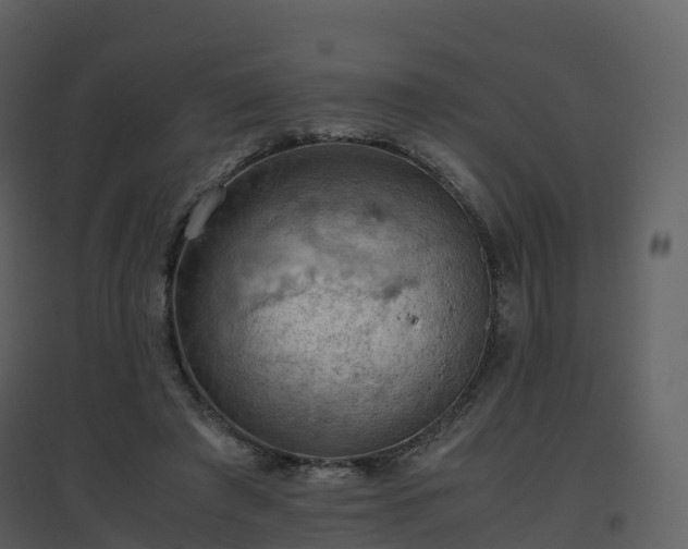 X0000096640401200802121115