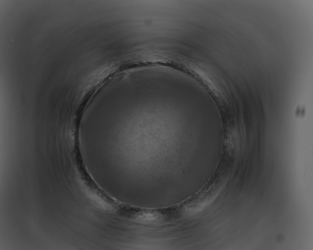 X0000096640402200802121115