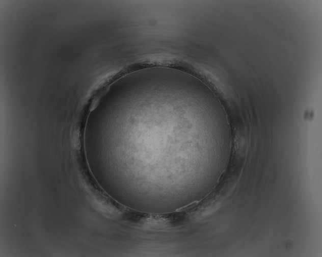 X0000096640403200802121115