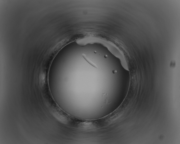 X0000096640406200802121115
