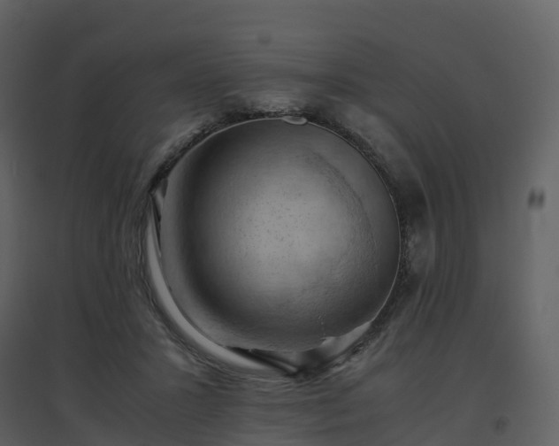 X0000096640407200802121114