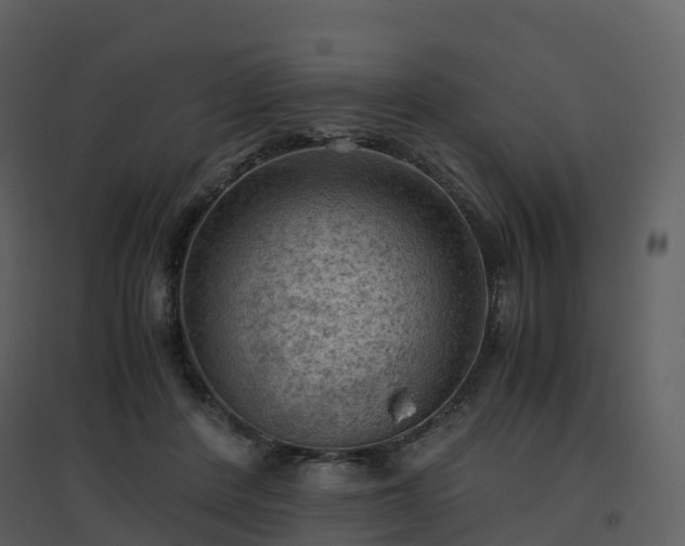 X0000096640408200802121114