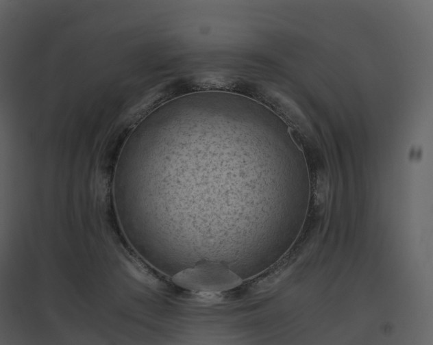 X0000096640409200802121114
