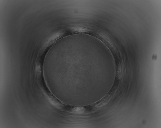X0000096640410200802121114