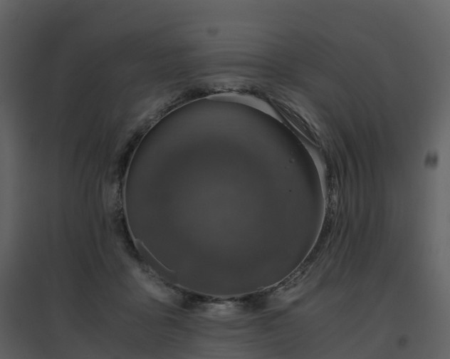 X0000096640411200802121114