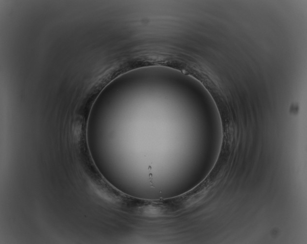 X0000096640412200802121114