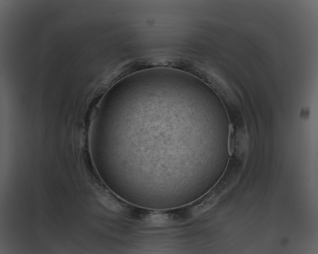 X0000096640413200802121114