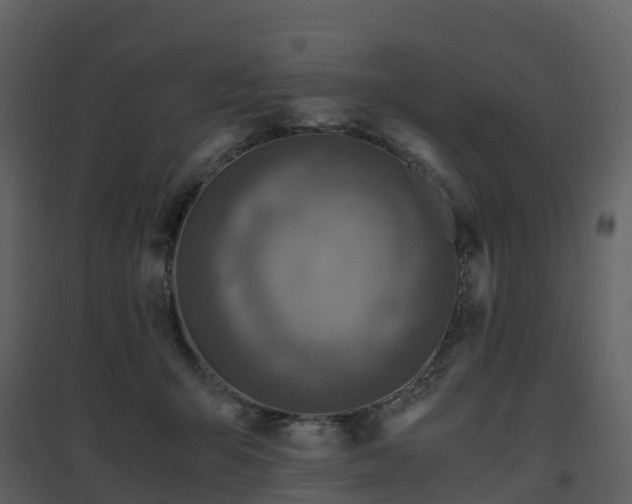 X0000096640415200802121114