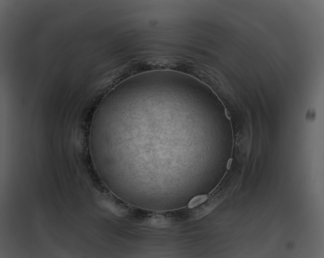 X0000096640416200802121114