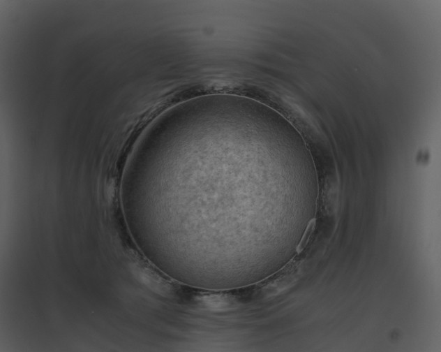 X0000096640417200802121114
