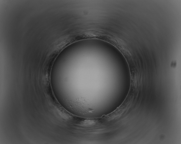 X0000096640418200802121114