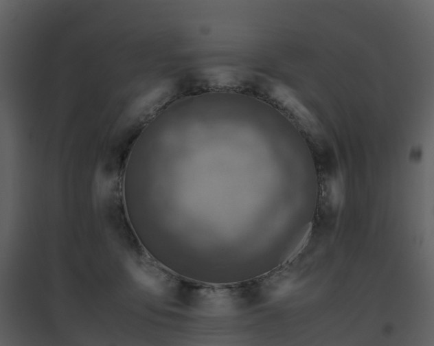 X0000096640419200802121114