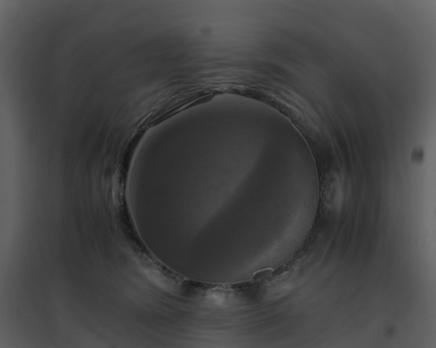 X0000096640420200802121114