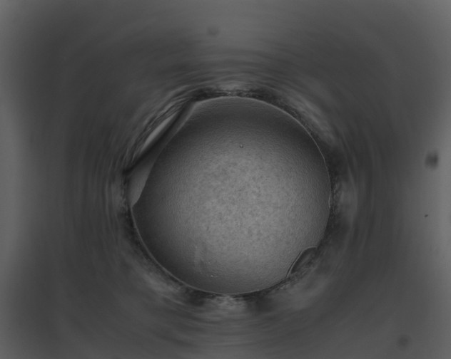 X0000096640421200802121114
