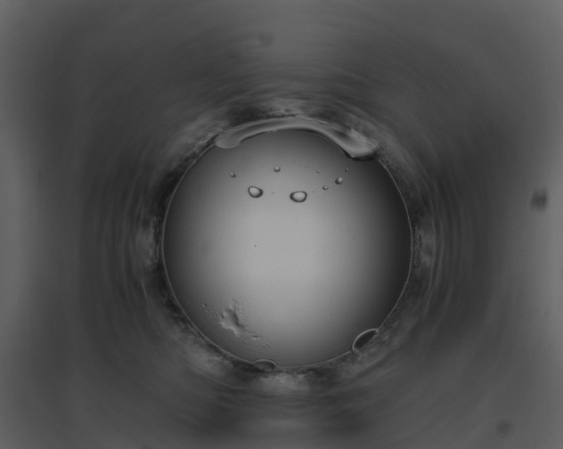 X0000096640422200802121114