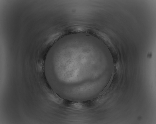 X0000096640423200802121114