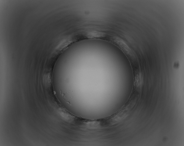 X0000096640426200802121114