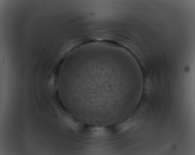 X0000096640428200802121114