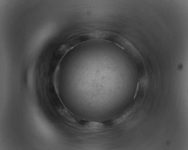 X0000096640429200802121114